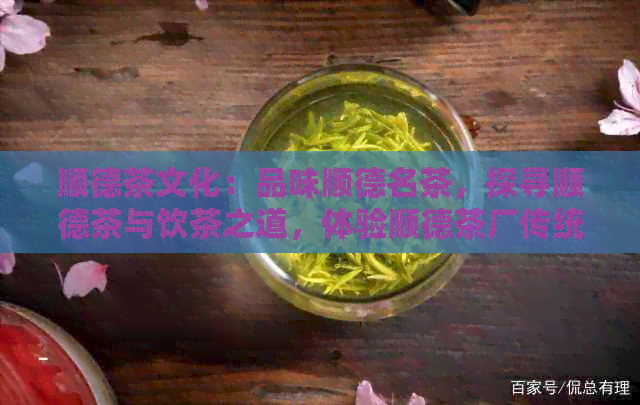 顺德茶文化：品味顺德名茶，探寻顺德茶与饮茶之道，体验顺德茶厂传统工艺