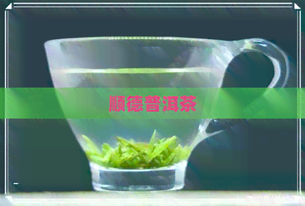 顺德普洱茶