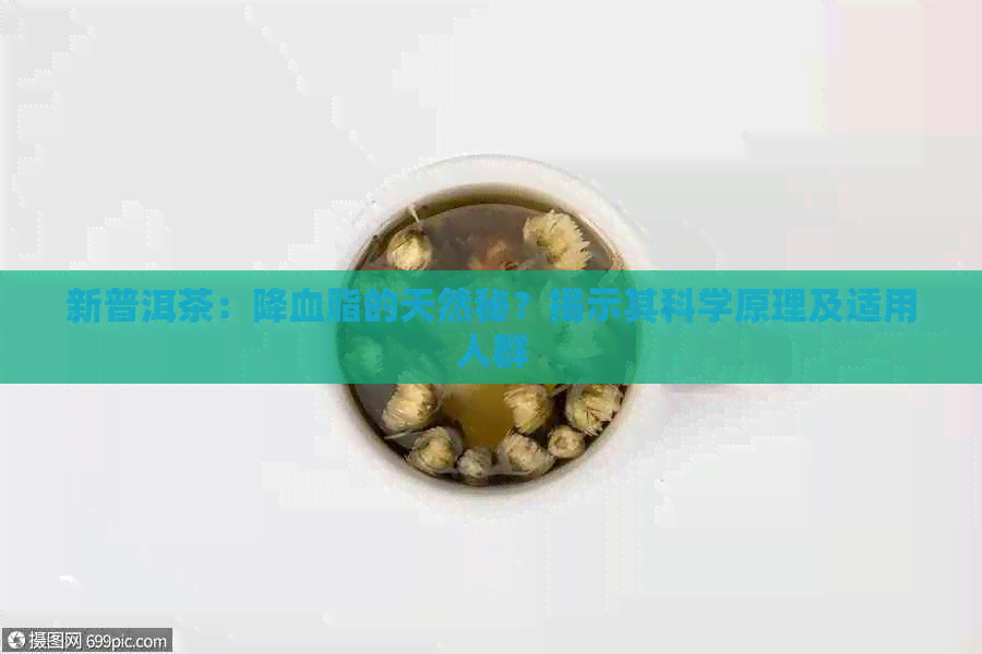 新普洱茶：降血脂的天然秘？揭示其科学原理及适用人群