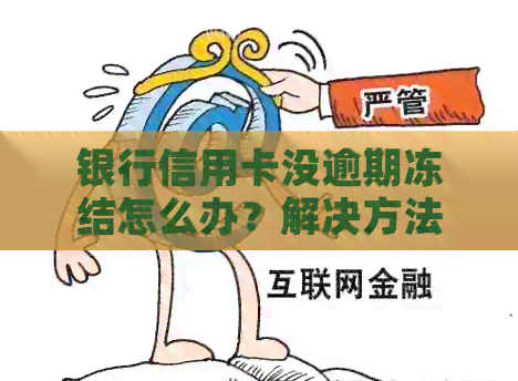 银行信用卡没逾期冻结怎么办？解决方法解析