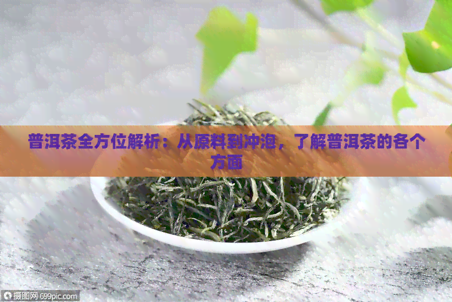 普洱茶全方位解析：从原料到冲泡，了解普洱茶的各个方面