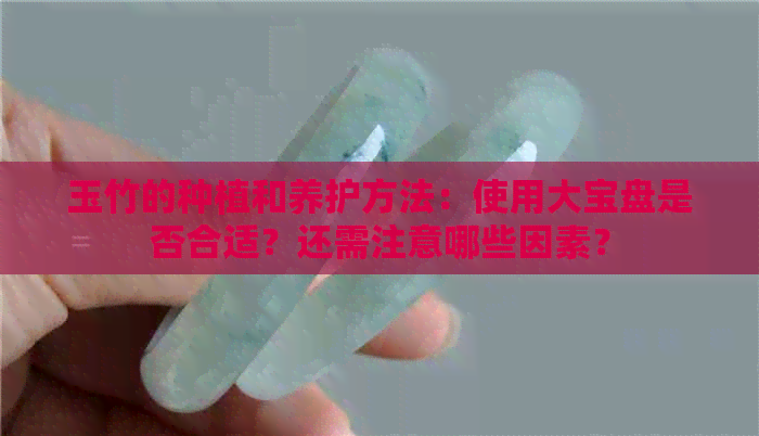 玉竹的种植和养护方法：使用大宝盘是否合适？还需注意哪些因素？