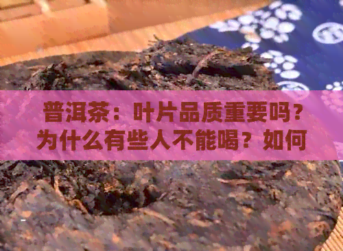 普洱茶：叶片品质重要吗？为什么有些人不能喝？如何选择适合自己的普洱茶？