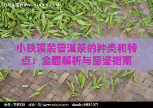 小铁罐装普洱茶的种类和特点：全面解析与品鉴指南