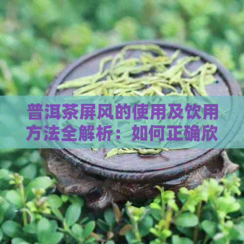 普洱茶屏风的使用及饮用方法全解析：如何正确欣与品尝？