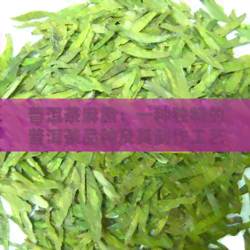 普洱茶麻黑：一种独特的普洱茶品种及其制作工艺详解