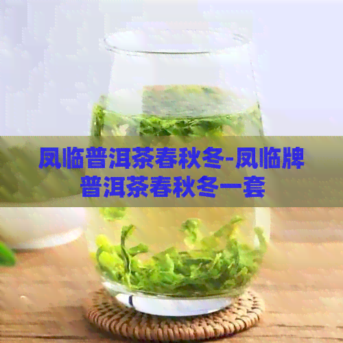 凤临普洱茶春秋冬-凤临牌普洱茶春秋冬一套