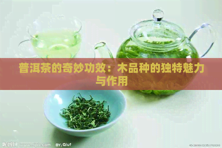 普洱茶的奇妙功效：木品种的独特魅力与作用