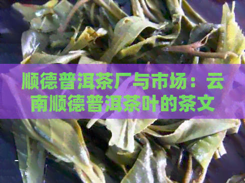 顺德普洱茶厂与市场：云南顺德普洱茶叶的茶文化探索