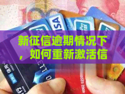 新逾期情况下，如何重新激活信用卡并解决信用问题？