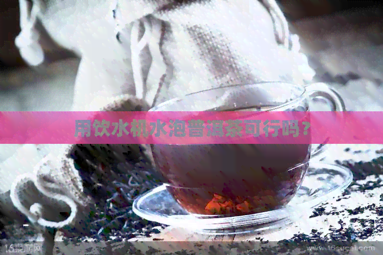 用饮水机水泡普洱茶可行吗？