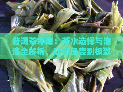 普洱茶冲泡：茶水选择与泡法全解析，让你品尝到极致的普洱风味