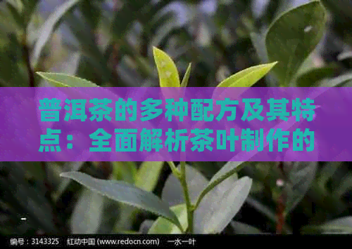 普洱茶的多种配方及其特点：全面解析茶叶制作的多元化选择