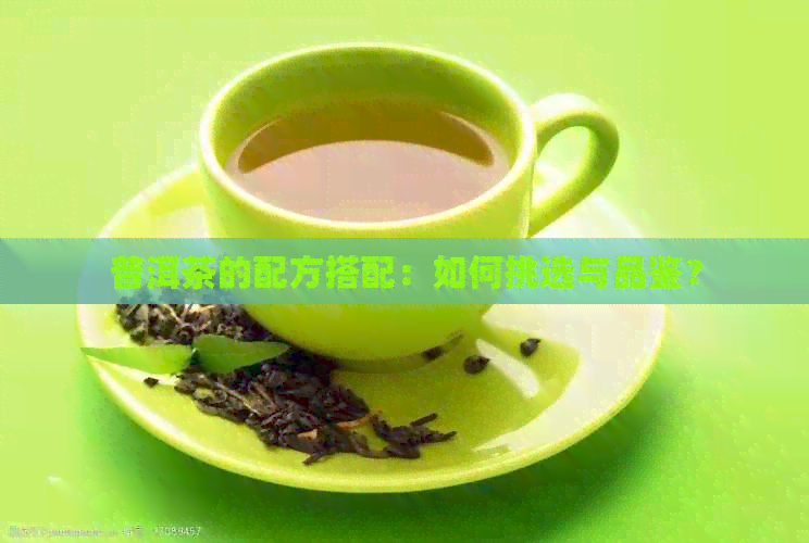 普洱茶的配方搭配：如何挑选与品鉴？