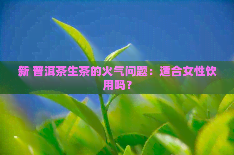 新 普洱茶生茶的火气问题：适合女性饮用吗？