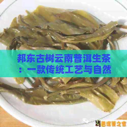 邦东古树云南普洱生茶：一款传统工艺与自然风味的完美结合