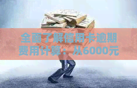 全面了解信用卡逾期费用计算：从6000元到各种情况下的详细解析