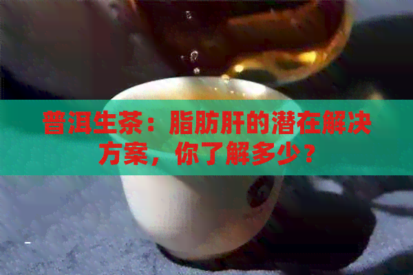 普洱生茶：脂肪肝的潜在解决方案，你了解多少？