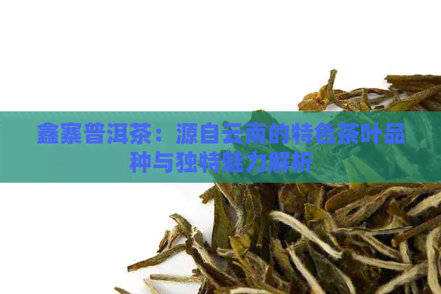 鑫寨普洱茶：源自云南的特色茶叶品种与独特魅力解析