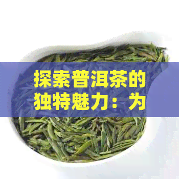 探索普洱茶的独特魅力：为何需要烘干？