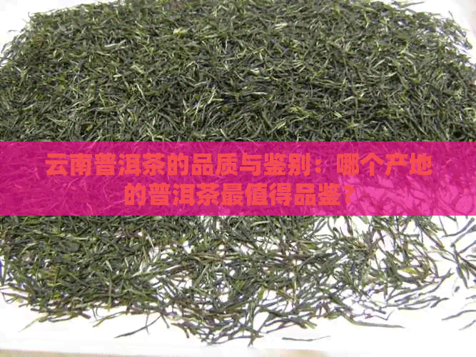 云南普洱茶的品质与鉴别：哪个产地的普洱茶最值得品鉴？