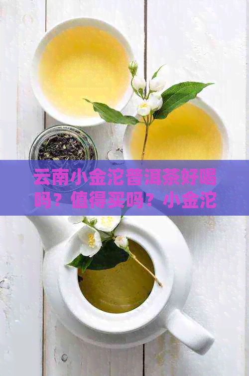 云南小金沱普洱茶好喝吗？值得买吗？小金沱普洱茶有何好处？