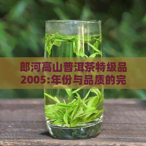 郎河高山普洱茶特级品2005:年份与品质的完美结合