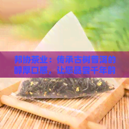 邦协茶业：传承古树普洱的醇厚口感，让您品尝千年韵味