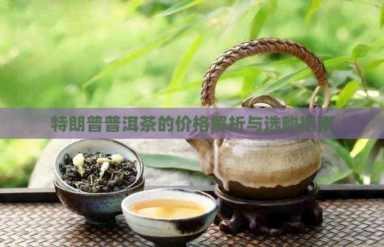 特朗普普洱茶的价格解析与选购指南