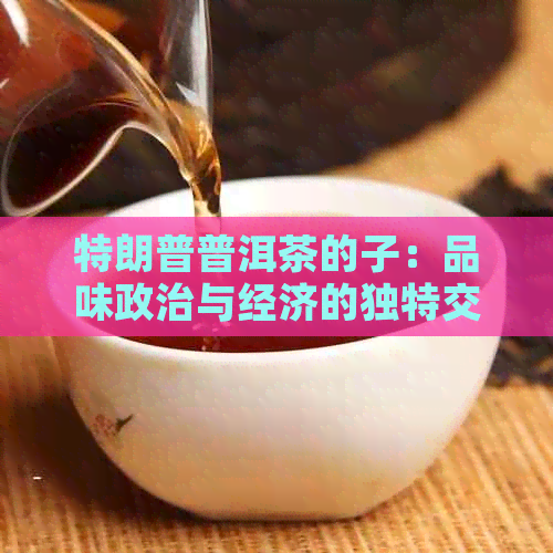 特朗普普洱茶的子：品味政治与经济的独特交融