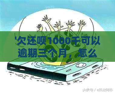 '欠还呗1000千可以逾期三个月，怎么办？'