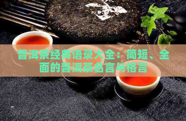 普洱茶经典语录大全：简短、全面的普洱茶名言与格言