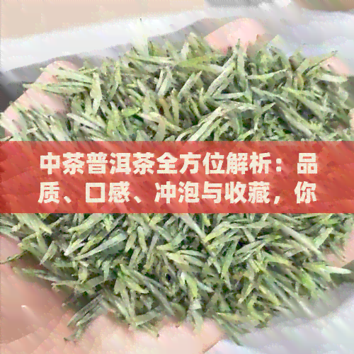 中茶普洱茶全方位解析：品质、口感、冲泡与收藏，你想知道的都在这里！