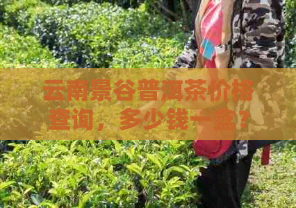 云南景谷普洱茶价格查询，多少钱一盒？