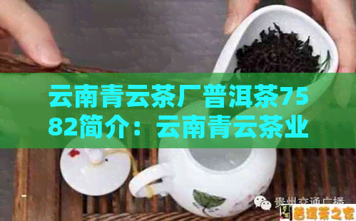 云南青云茶厂普洱茶7582简介：云南青云茶业的青云工贸普洱茶