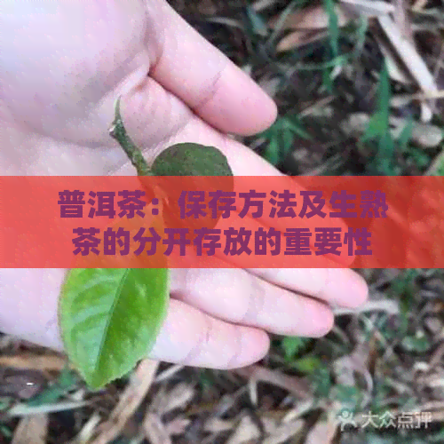 普洱茶：保存方法及生熟茶的分开存放的重要性