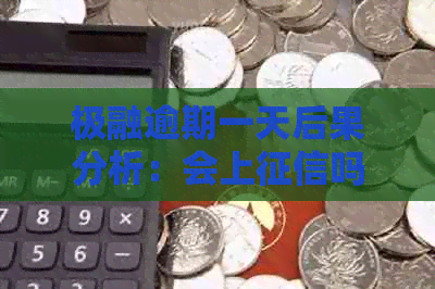 极融逾期一天后果分析：会上吗？