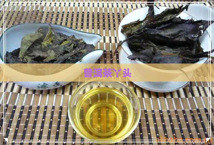 普洱茶丫头