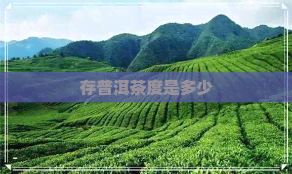 存普洱茶度是多少