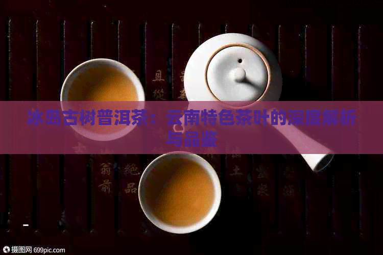 冰岛古树普洱茶：云南特色茶叶的深度解析与品鉴