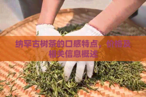 纳罕古树茶的口感特点，价格及相关信息概述