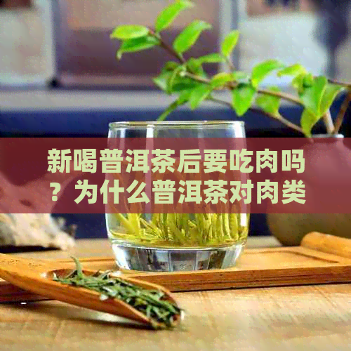 新喝普洱茶后要吃肉吗？为什么普洱茶对肉类食物的影响不可忽视？