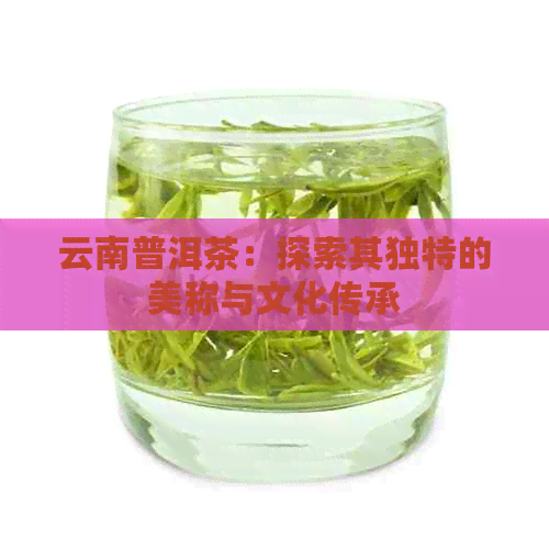 云南普洱茶：探索其独特的美称与文化传承