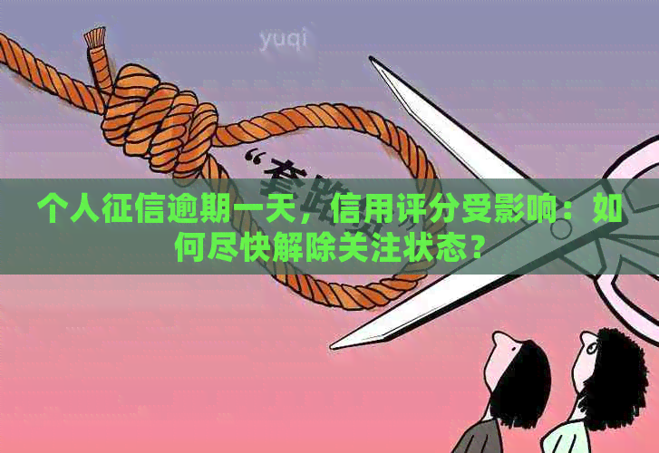 个人逾期一天，信用评分受影响：如何尽快解除关注状态？