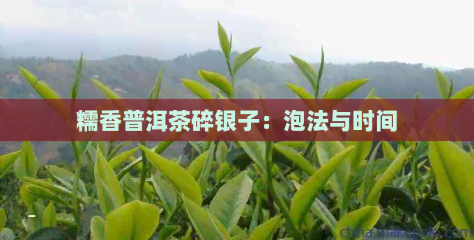 糯香普洱茶碎银子：泡法与时间