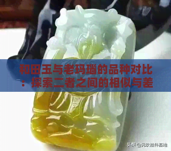 和田玉与老玛瑙的品种对比：探索二者之间的相似与差异