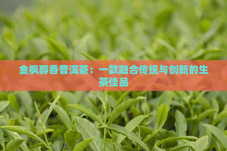 金枫醇香普洱茶：一款融合传统与创新的生茶佳品