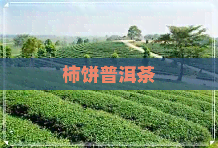 柿饼普洱茶