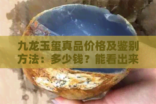 九龙玉玺真品价格及鉴别方法：多少钱？能看出来吗？