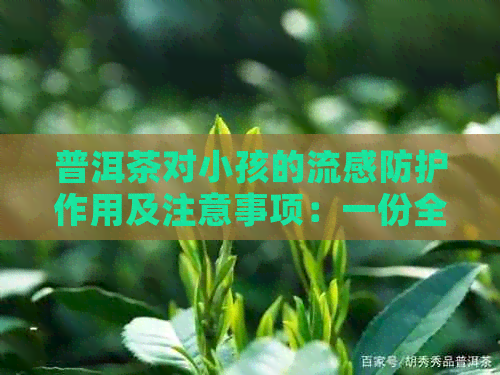 普洱茶对小孩的流感防护作用及注意事项：一份全面的指南